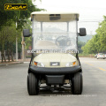 Luxury 2 seater electric golf cart Trojan battery club buggy car golf cart